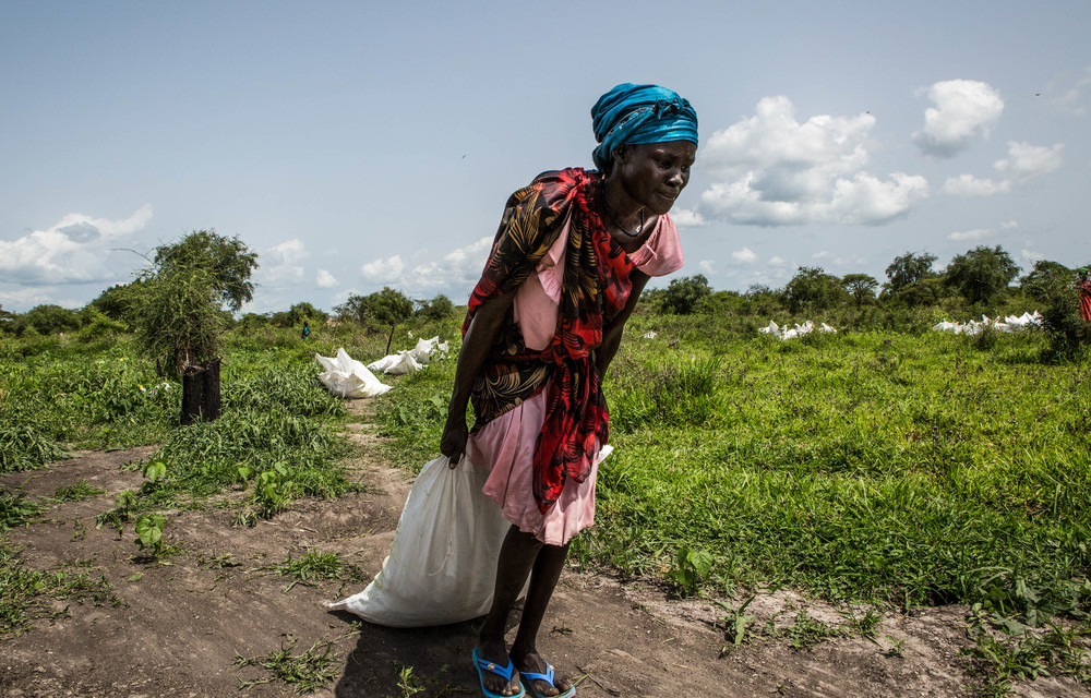 LancetCountdown's tweet card. The G20 Disaster Risk Reduction Working Group, which meets on 9 and 10 July, needs to secure binding commitments to building resilient economies, societies and