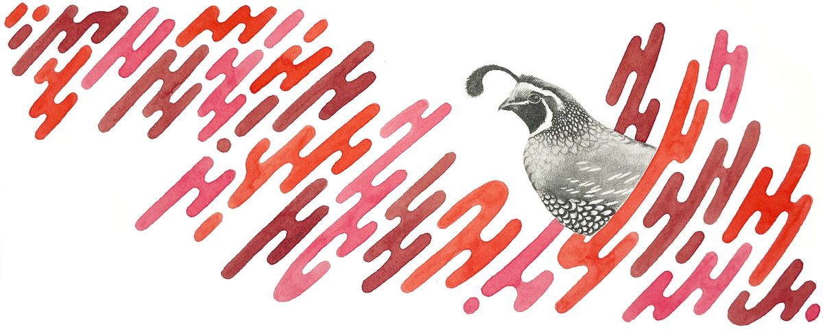 JackiPivot's tweet card. by Danielle Harms | Love in the time of strep throat.