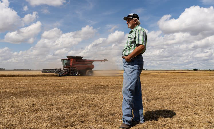 Mikanojo's tweet card. American farmers are struggling under a “crisis” brought on by President Donald Trump’s trade war, wrote Bloomberg reporters Steven Church and Ilena Peng on Wednesday, one that has left a number of...