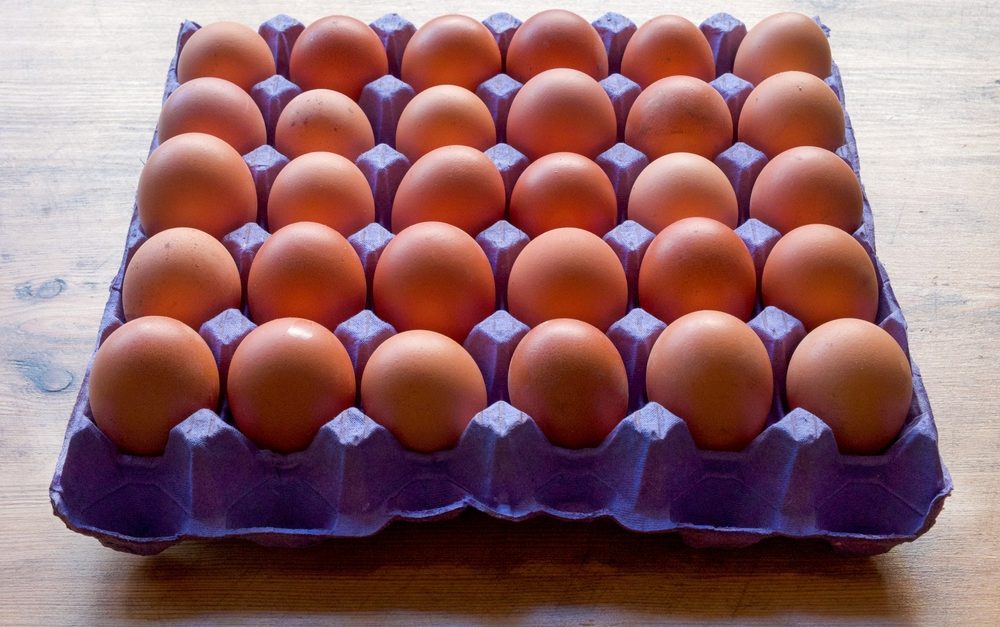 FutureFarmerYAS's tweet card. Members of Future Farmers of Yorkshire are being offered a chance to go behind the scenes at one of Yorkshire's largest egg processors.