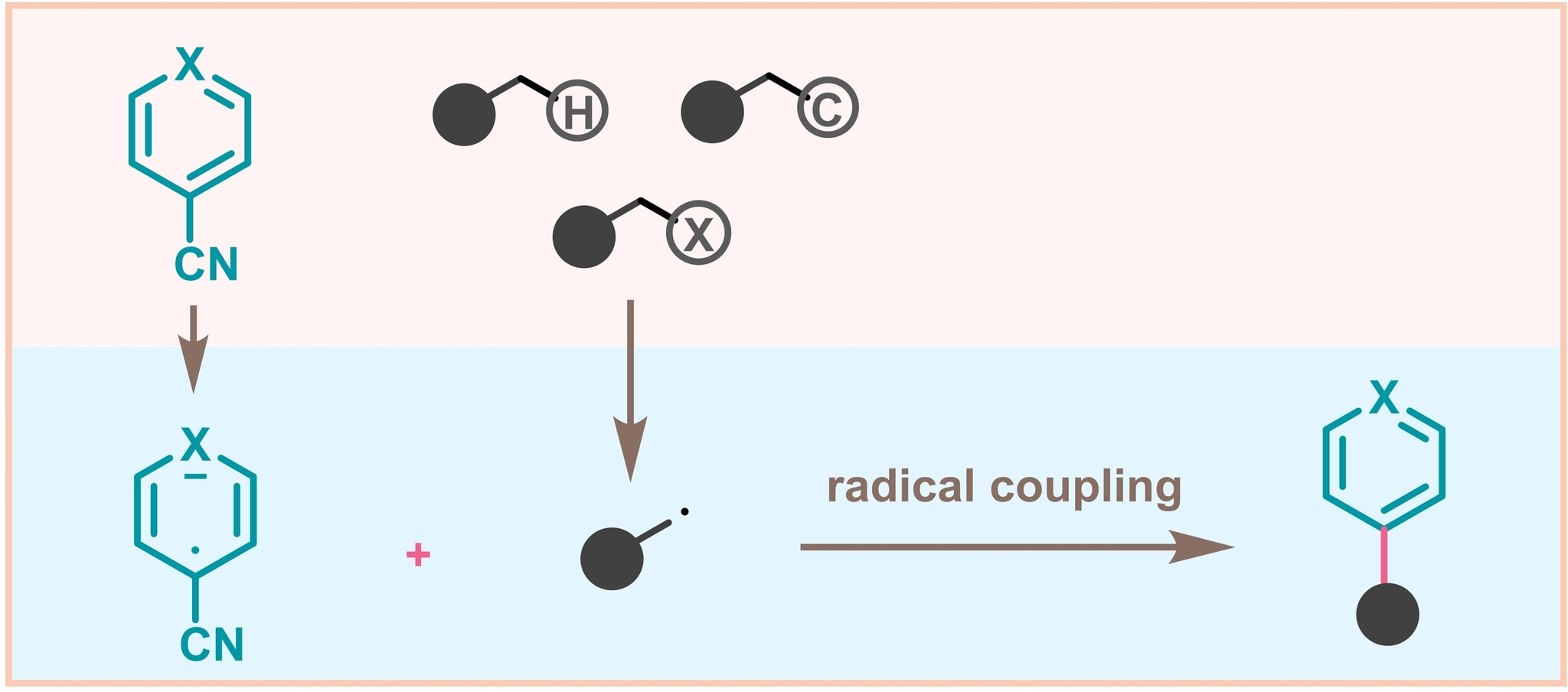 AdvSynthCatal's tweet card. Arenes, especially heteroarenes, are crucial structural motifs in organic chemistry, pharmaceutical chemistry, and materials science. The introduction of (hetero)aryl groups using readily available...