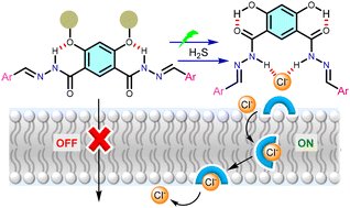 ChemLangton's tweet card. Ion transport across biological membranes, facilitated by naturally occurring ion channels and pumps, plays a crucial role in biological processes. Gating is an important aspect of these systems,...