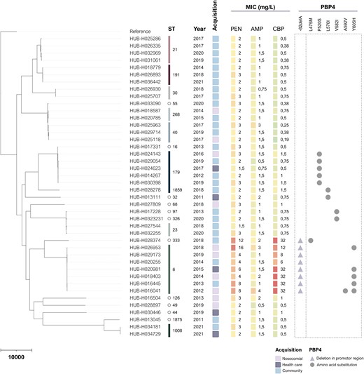 ABsteward's tweet card. AbstractObjectives. To study the in vitro activity of ceftobiprole alone and in combination with ampicillin against Enterococcus faecalis causing infective
