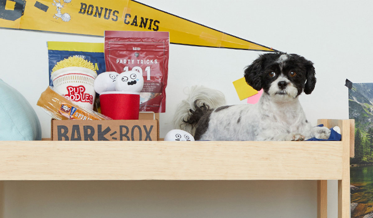 michiganalumni's tweet card. Welcome to a whole new world of joy with your dog.