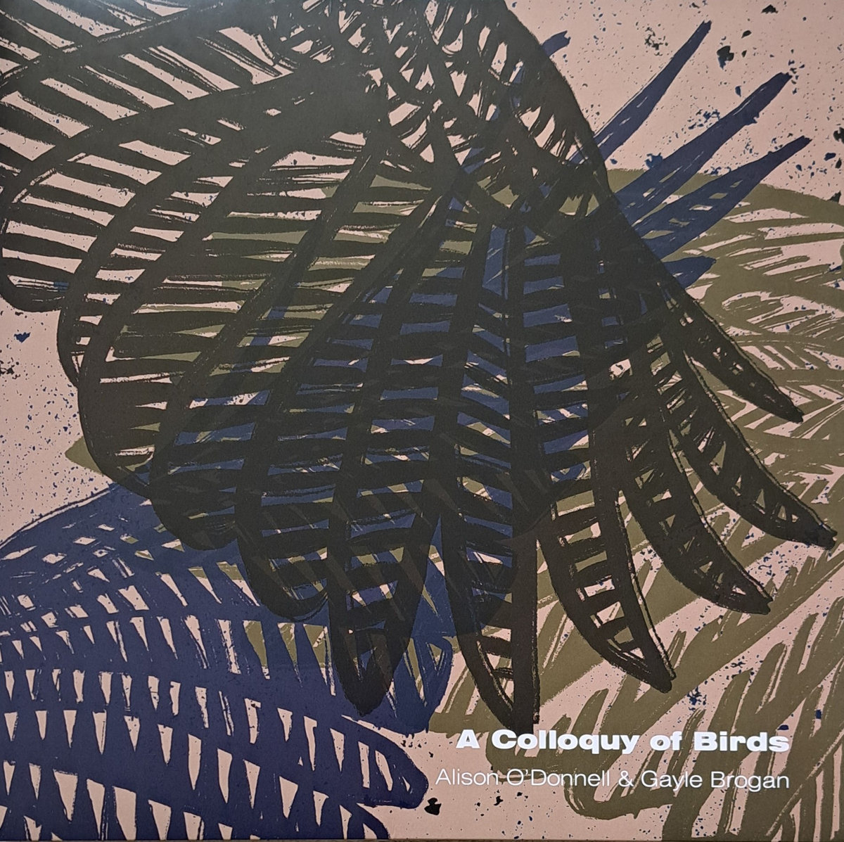 PsychedelicMag's tweet card. At the heart of ‘A Colloquy of Birds’ lies more than a love for wings and feathers. There is a quiet urgency here, a sense that these songs, like the birds they follow, might vanish before we fully...