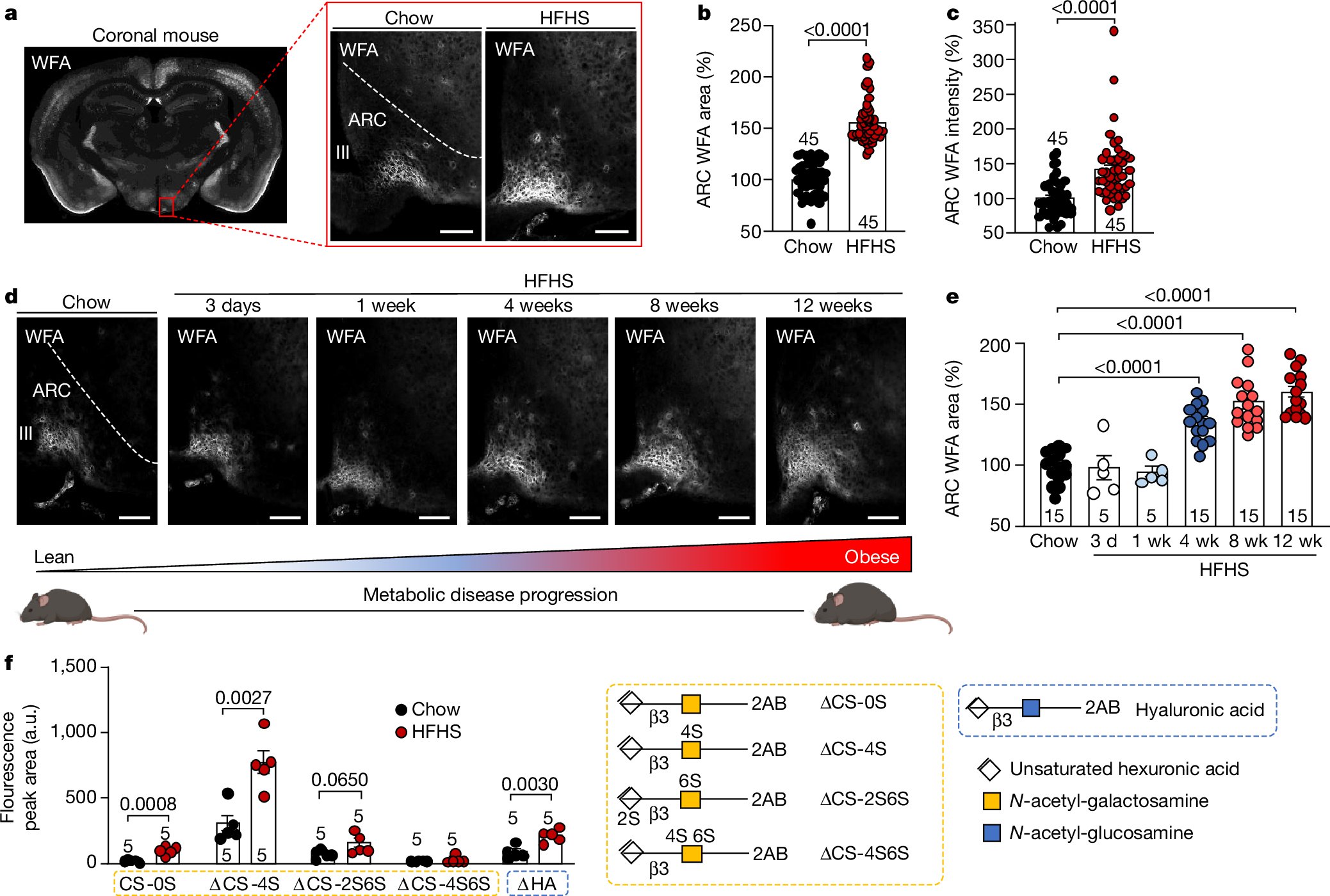 garrondodd's tweet card. Nature - Experiments in mice show that the perineural net has a key role in metabolic disease by controlling insulin access to neurons in the arcuate nucleus of the hypothalamus.