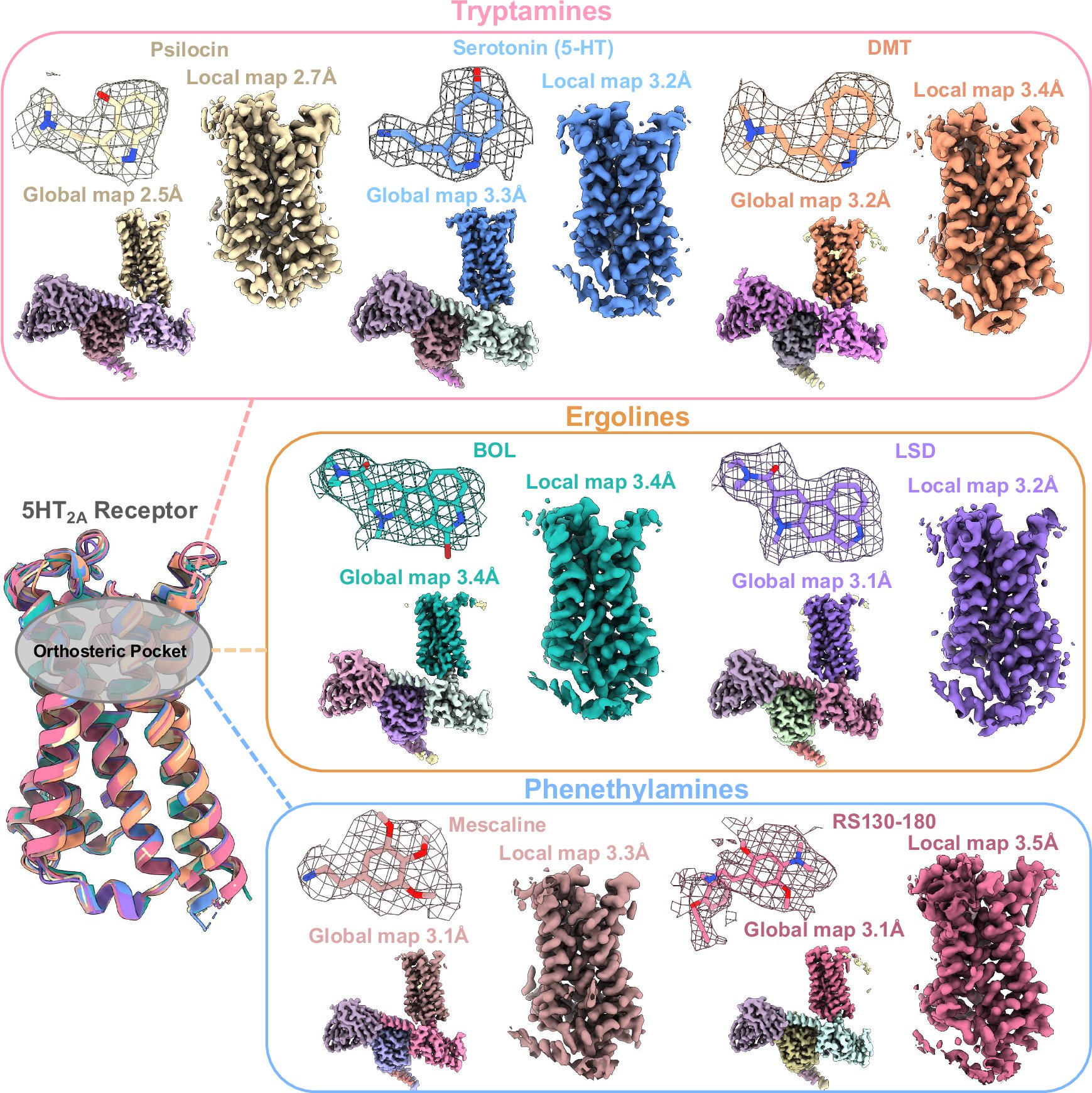 jainmk6's tweet card. Nature Communications - The authors present 7 cryo-EM structures of hallucinogenic and non-hallucinogenic compounds across multiple chemotypes bound to the 5-HT2A receptor, shedding light onto...