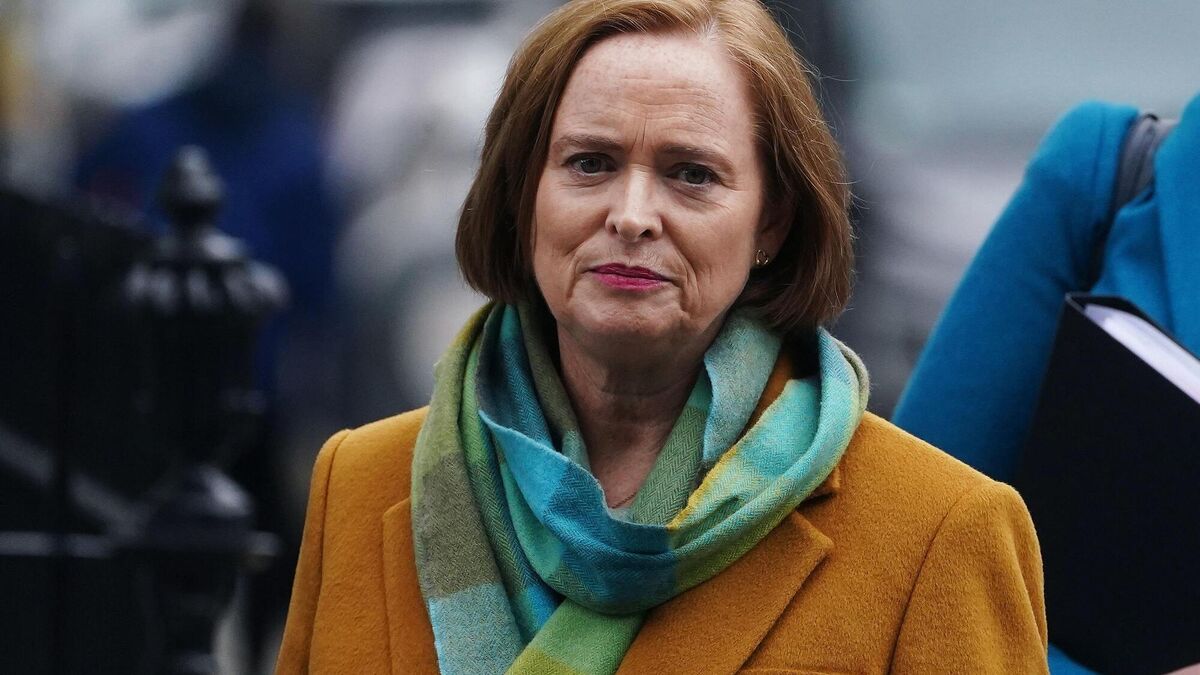 ciananbrennan's tweet card. Eilish Hardiman’s contract was renewed  amid several scandals at CHI, including the insertion of non-medical grade springs into the spines of children during surgery and the alleged carrying out of...