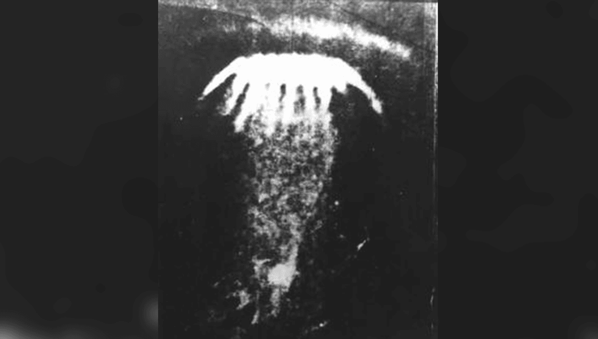 IFLScience's tweet card. According to reports the glowing object “hovered over the city in the form of a jellyfish sending down a multitude of fine beams".