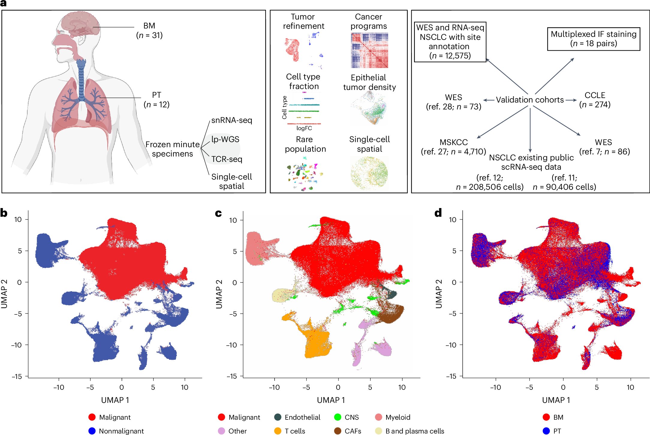FilippoMontemu1's tweet card. Nature Medicine - Multi-omic single-cell and spatial analyses of lung cancer brain metastases from multiple cohorts identify high levels of chromosomal instability and a neural-like profile in...