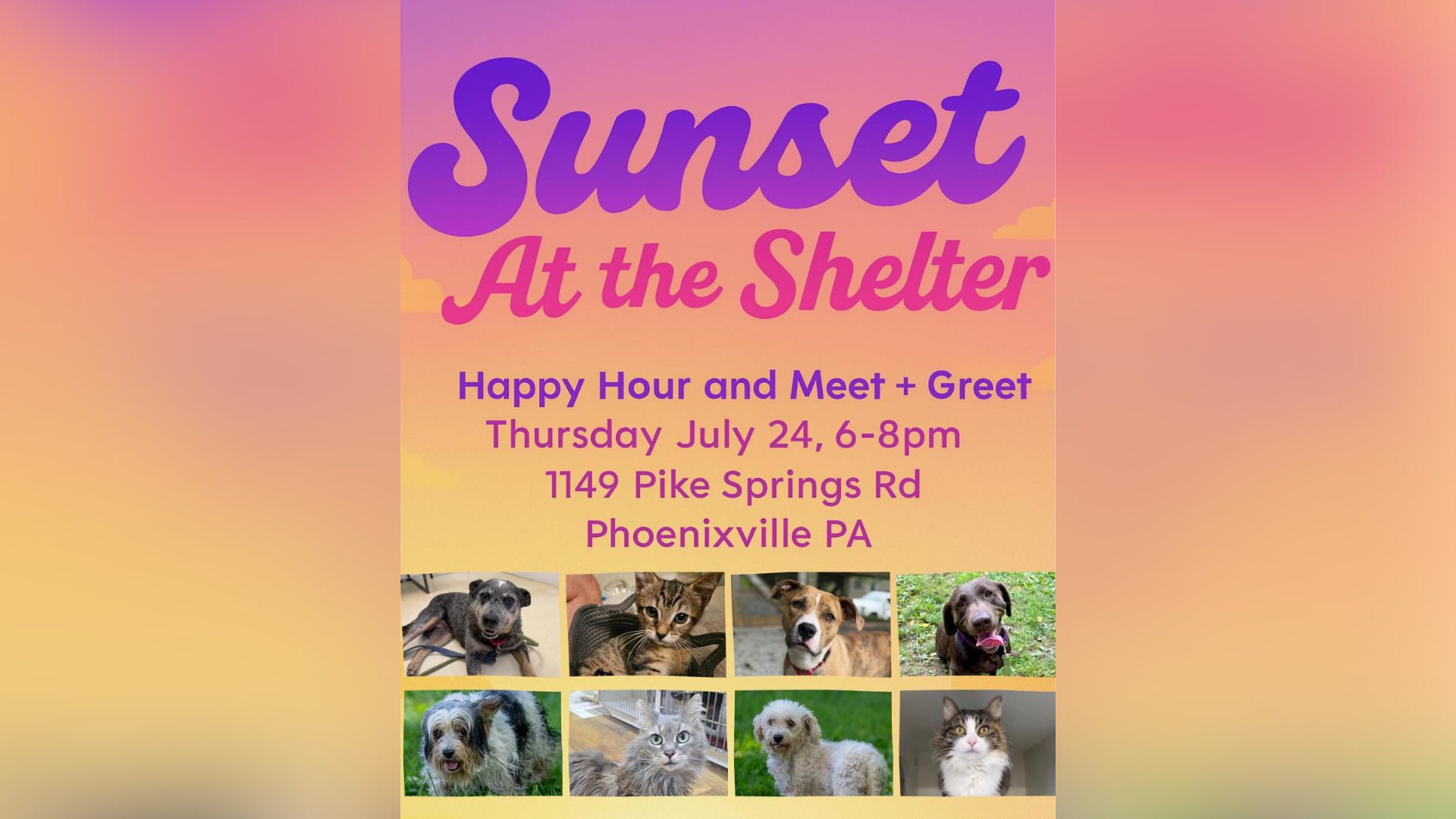 new965philly's tweet card. Join the PSPCA for a Happy Hour Meet & Greet at the Shelter! Sip on beer and wine, enjoy delicious snacks, and meet adorable adoptables—including a sweet mama and her puppy making their adoption...