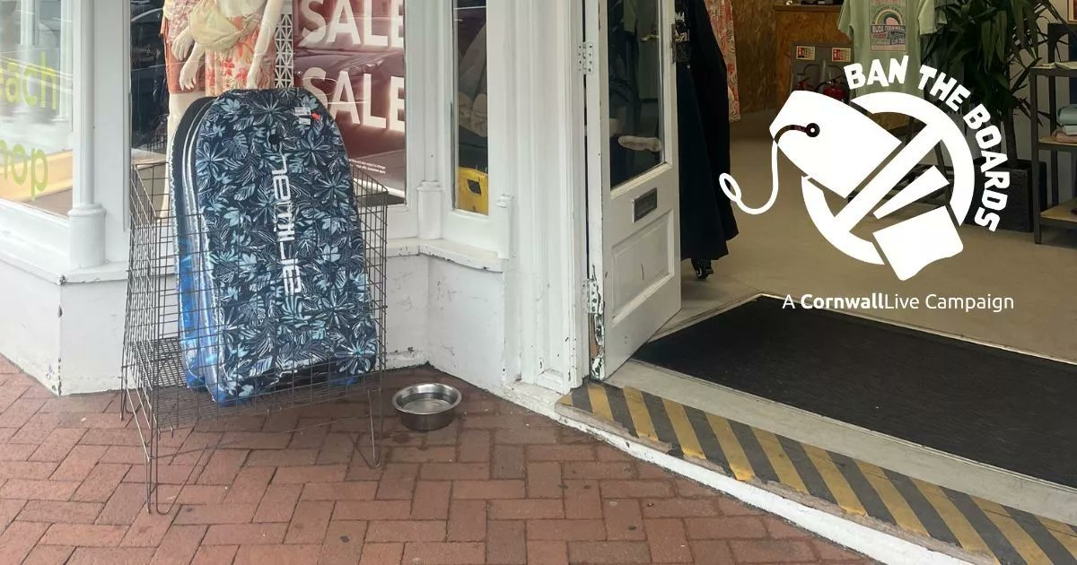 CornwallLive's tweet card. This national brand is still selling these nasty boards that end up breaking easily and polluting the oceans