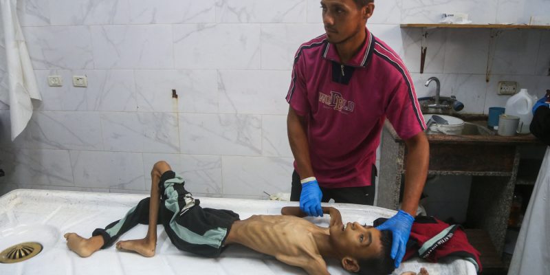 PJournalismNews's tweet card. The worsening situation in Gaza and the requests sent to the European Federation of Journalists (EFJ) by numerous journalists have prompted our ...
