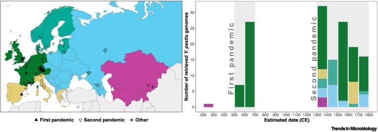 emilycsgaul's tweet card. Ancient DNA research has provided important insights into the evolutionary history of Yersinia pestis during the historical plague pandemics. Future work should prioritise a more diversified approach...