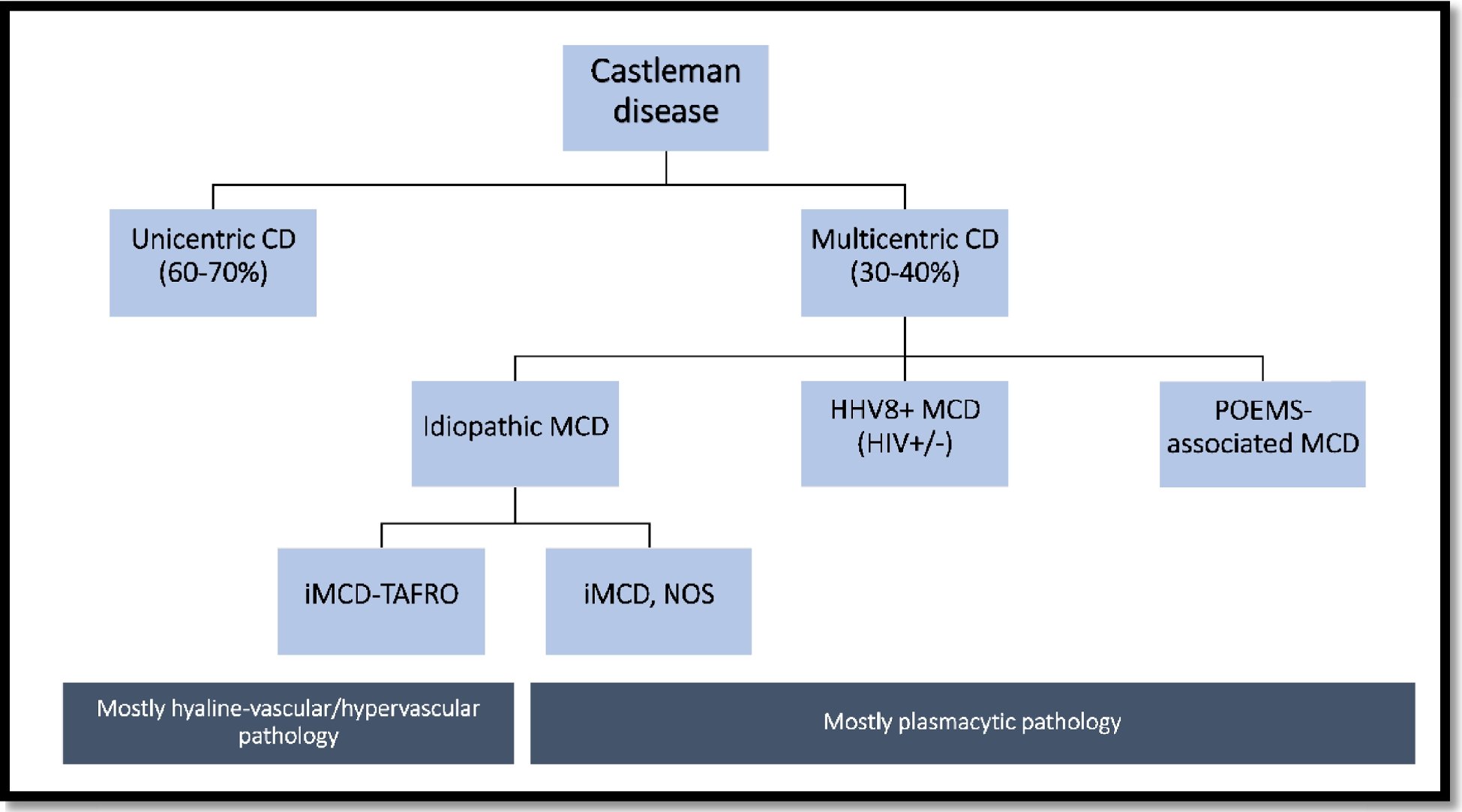 SpringerPath's tweet card. Virchows Archiv - Castleman disease (CD) is an intriguing and complicated group of local and systemic disorders mainly affecting lymph nodes with heterogeneous presentation and therapeutic needs....