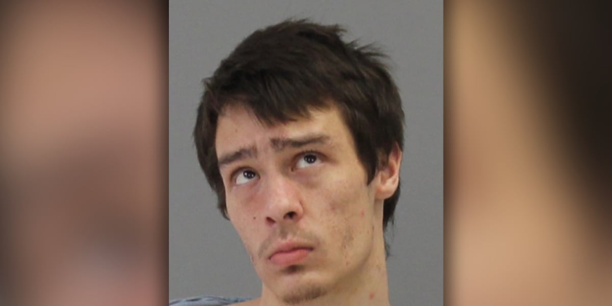 KBTXNews's tweet card. Ross Gibson, 24, of Bryan, is accused of burglary, evading arrest, and violation of court order.