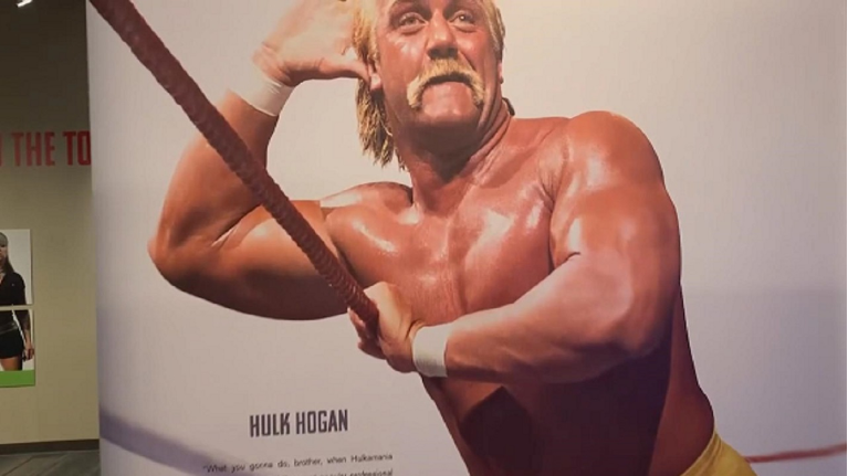 SPECNews1ROC's tweet card. Hogan got his stardom on WWE.
