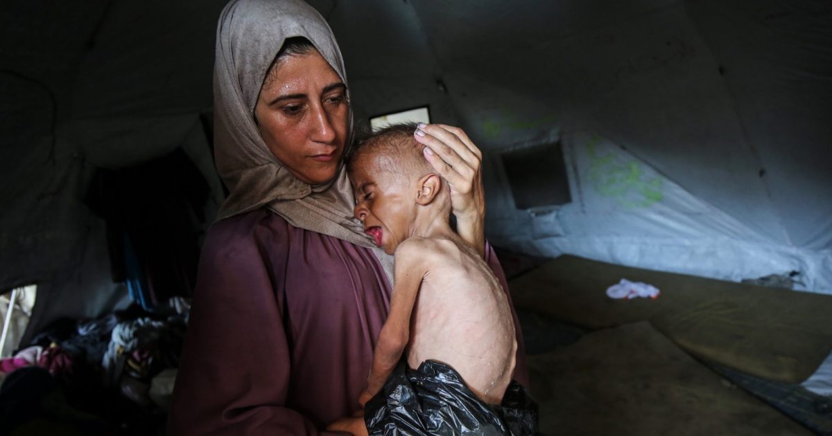 PatrickCorrigan's tweet card. "People in Gaza are neither dead nor alive, they are walking corpses."