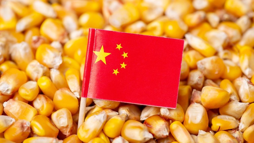AmericanAgNet's tweet card. Grains are mixed to lower with little fresh news in the trade. USDA did correct an export sales reporting error this morning regarding China buying U.S. corn but beyond that there is not much out...