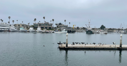 CIHarbor's tweet card. Ventura County Harbor Department Director Michael Tripp had a lot of good news to share about the 60th anniversary of Channel Islands Harbor when he received a proclamation in honor
