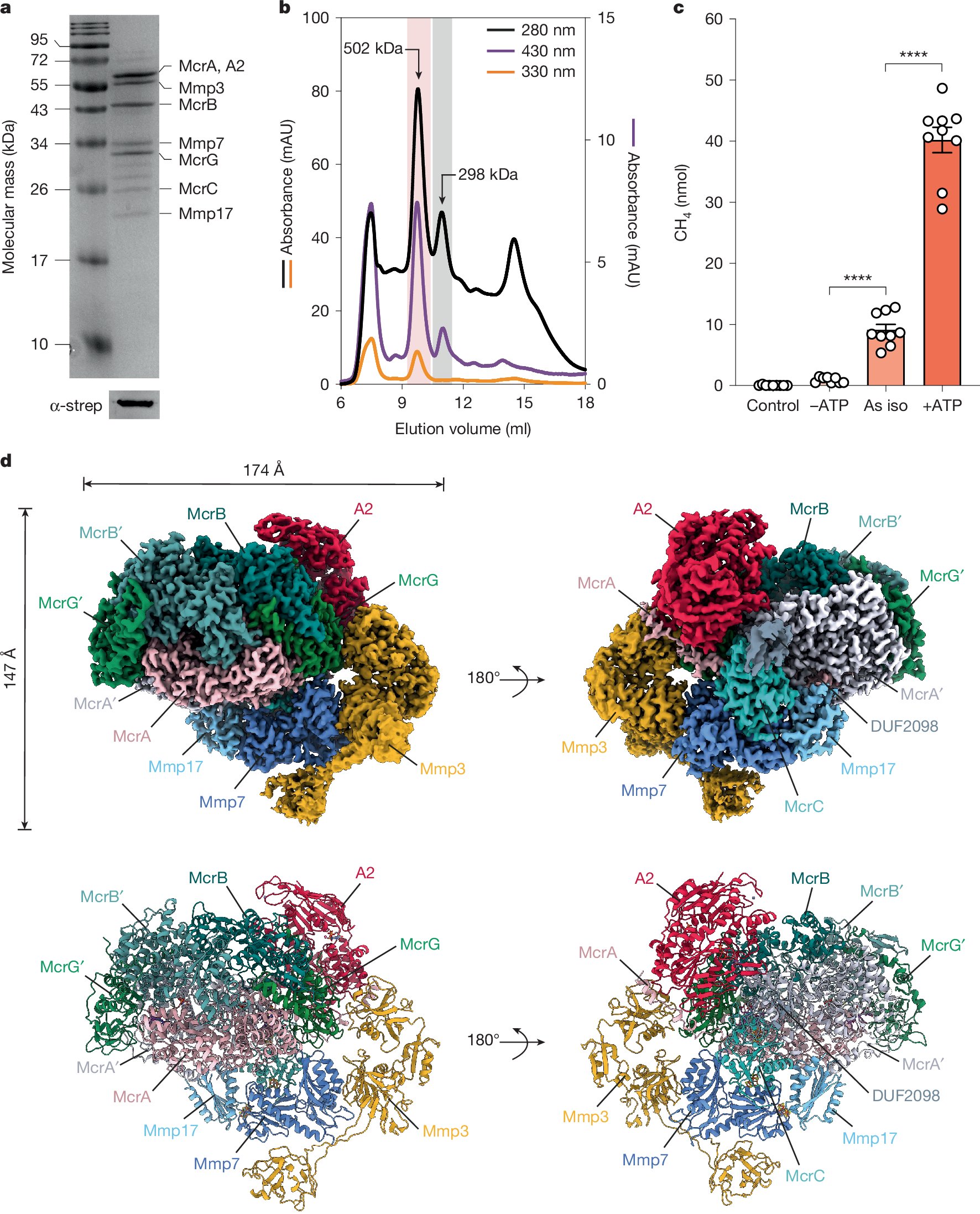 AnujR2d2's tweet card. Nature - The structure and function of the MCR activation complex from Methanococcus maripaludis were revealed, demonstrating its ATP-dependent ability to activate MCR and form methane while...