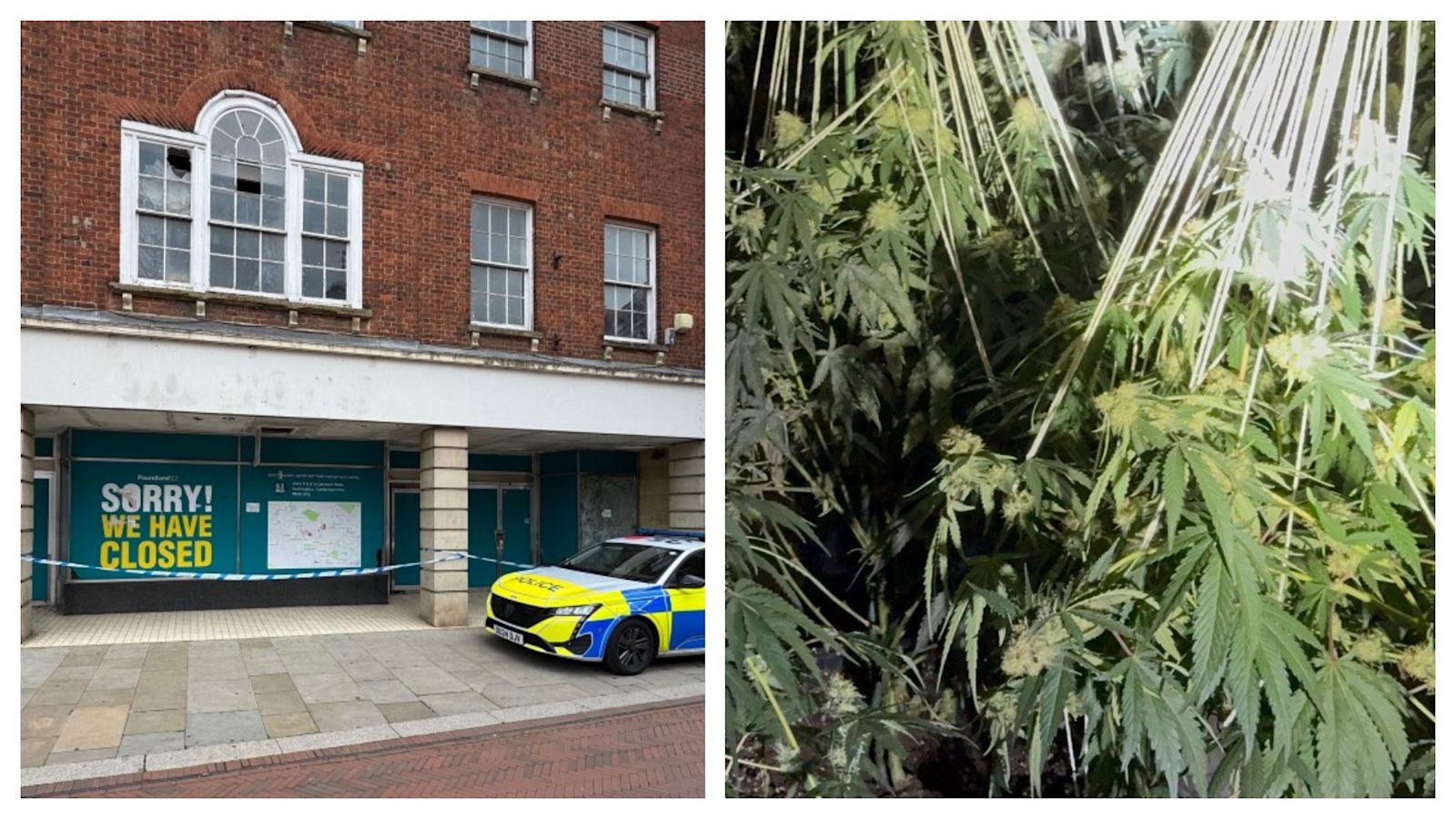 itvanglia's tweet card. The drug gang had fortified the former shop premises to protect it from being raided by its rivals, said police. | ITV News Anglia