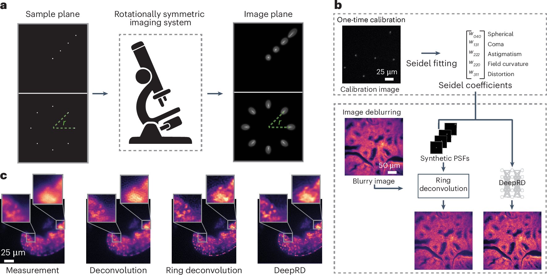 cziscience's tweet card. Nature Methods - Ring deconvolution microscopy leverages symmetry to provide fast and straightforward spatially varying deblurring and offers improved speed and image quality compared to standard...