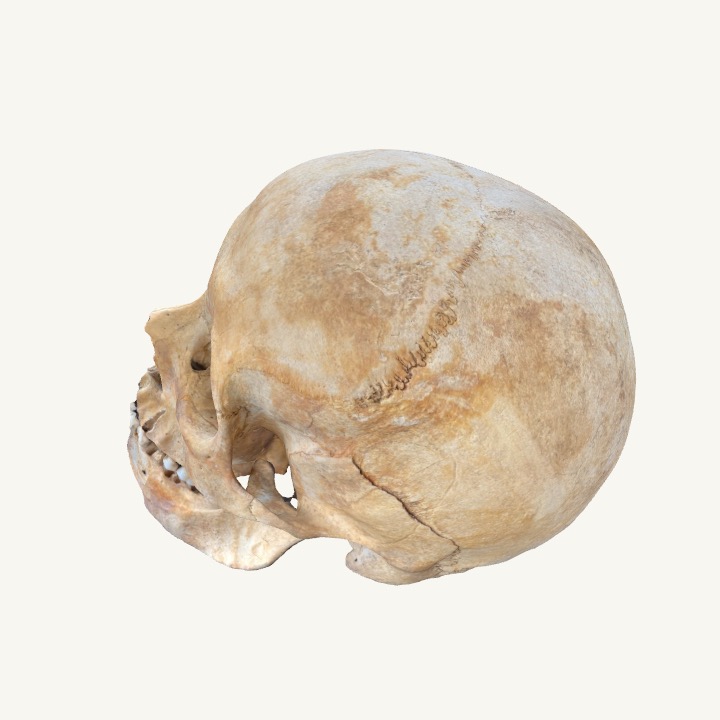 Chapman_Histo's tweet card. LMK03 108 by emlouise. Created with Polycam LiDAR 3D scanner app for iPhone and Android. Free 3D models, photogrammetry and LiDAR scans.