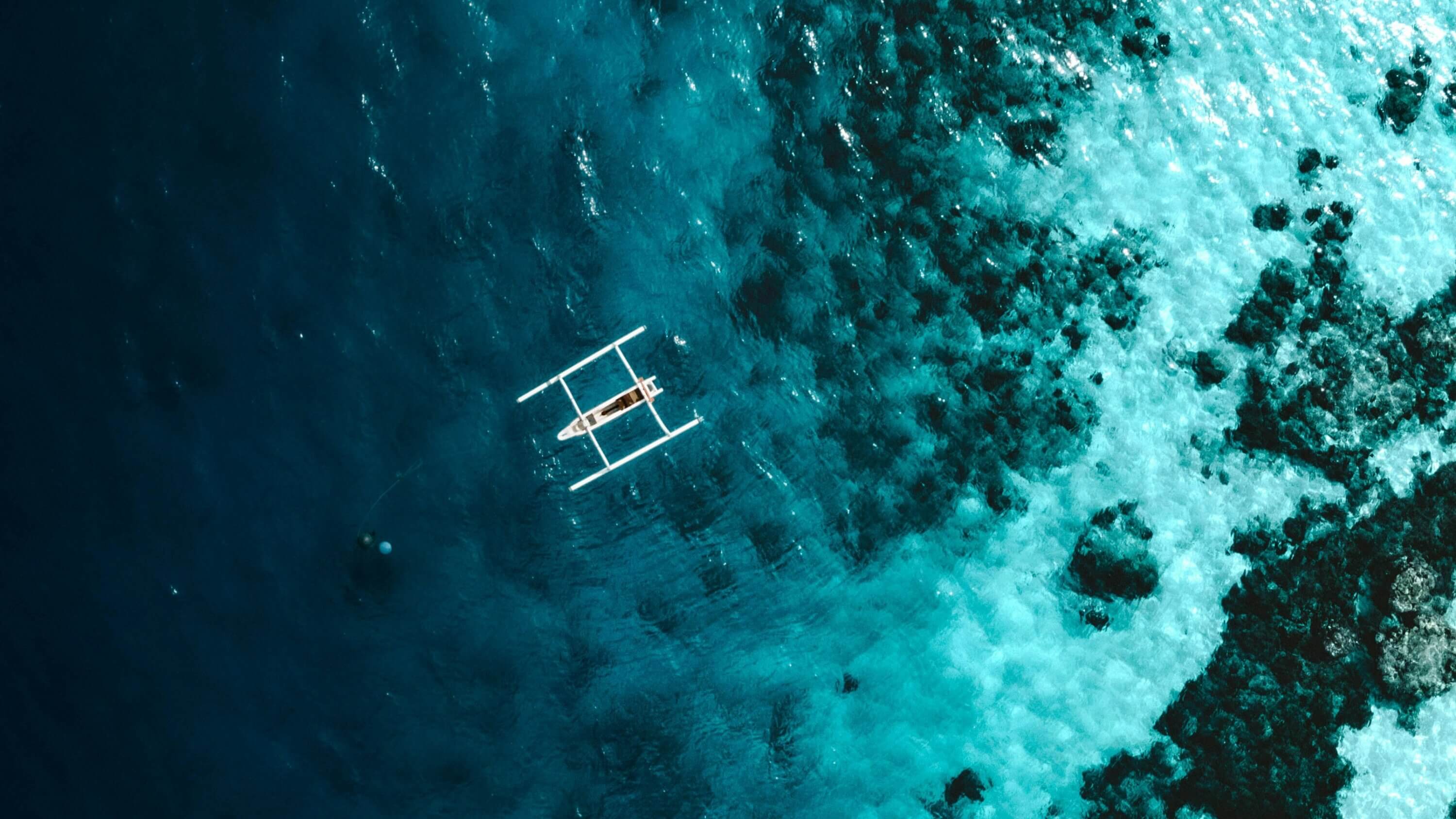 ISC's tweet card. The ocean is facing accelerating pressures – from climate change to overexploitation – yet our ability to effectively respond to them is hindered by fragmented governance, top-down decision-making...