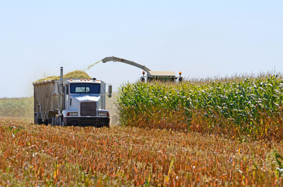 FredButt6's tweet card. A bill introduced in the House seeks to support the U.S. agricultural industry and secure the U.S. food supply chain by "remov regulatory roadblocks for