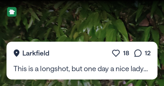 JashFath's tweet card. This is a longshot, but one day a nice lady named Susan (I think) walking down Grand asked me what these white flowers were. So I gave her my number (calm down), so I could ask the homeowner, who...