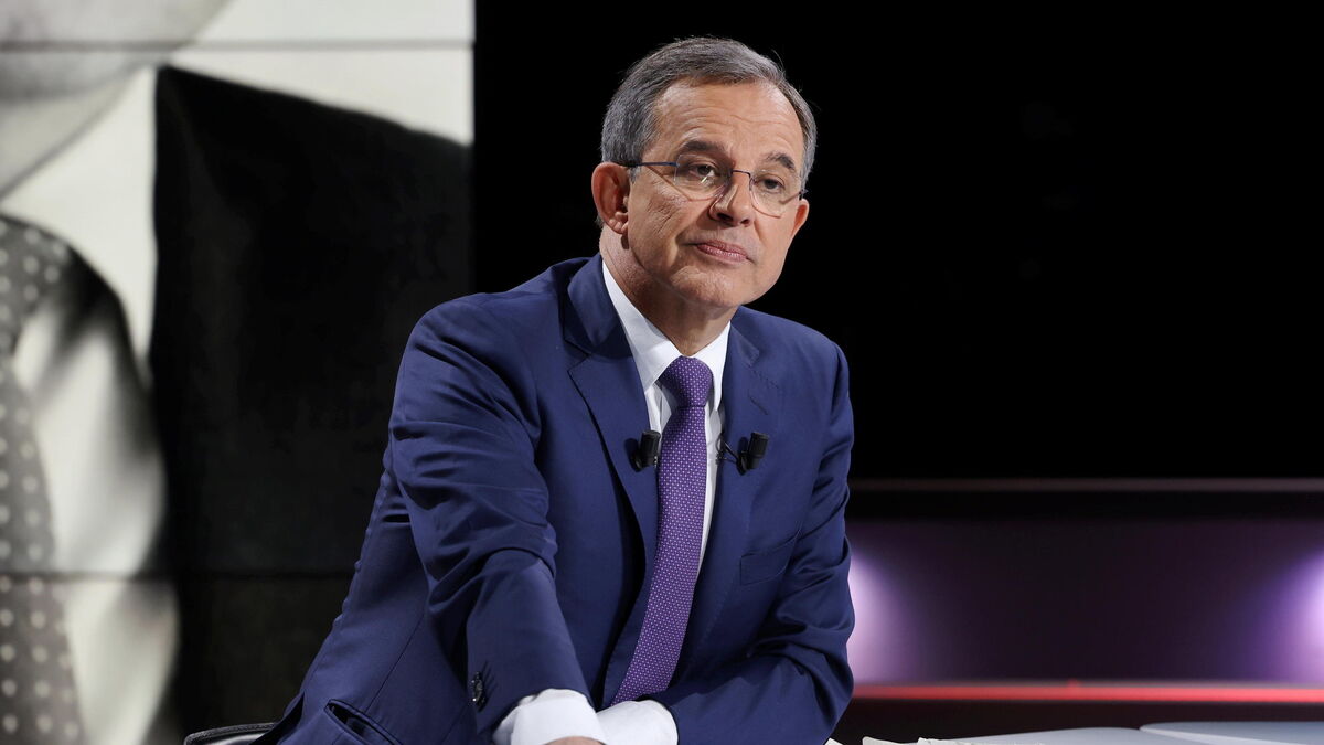 Alexsulzer's tweet card. INFO LE PARISIEN. La tête de liste RN aux municipales entend se lancer à son tour dans une campagne qui s’annonce médiatique.