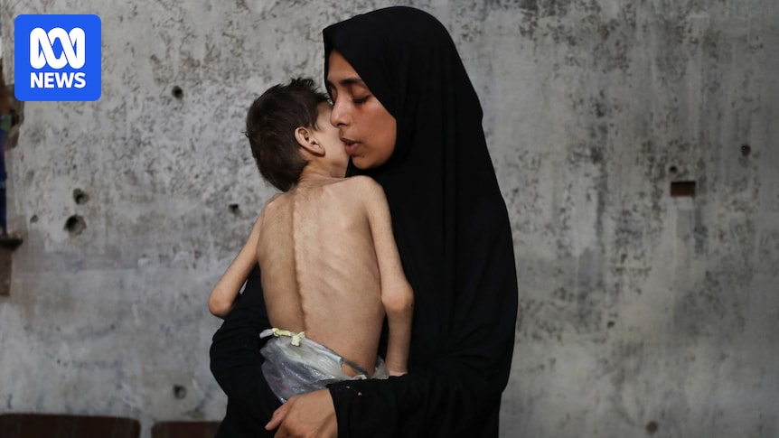 LyrebirdDream's tweet card. A UN agency says it is trying to get more than 6,000 truckloads of aid to Gaza to alleviate mass starvation, as the US announces it is pulling out of ceasefire talks and sending its delegation home. 