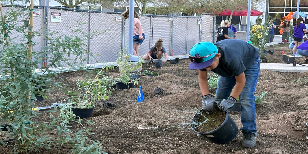 MayorGallego's tweet card. The city of Phoenix has planted several gardens to support struggling monarch butterflies, including one at the downtown crime lab.