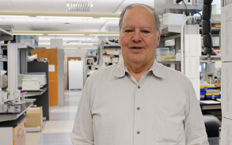 TAMU_Biology's tweet card. Gomer Lab PNAS Publication: Learning to shoo cells away By: TAMU Biology Although a considerable amount is known about how eukaryotic cells move toward a signal (chemoattraction), relatively little...