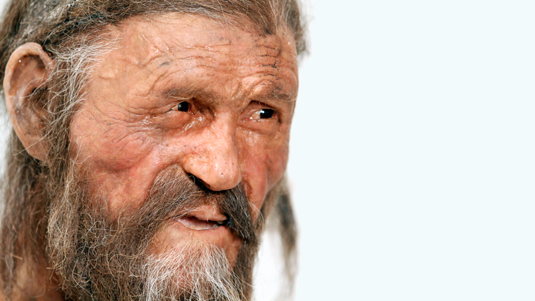 TwistBioscience's tweet card. A study of prehistoric skeletons from the Italian Alps shows that society may have been organized around fathers and that Ötzi the Iceman had a unique family lineage.