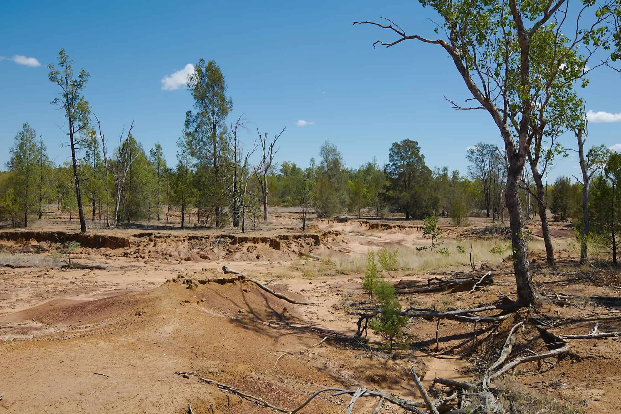 SoilScienceAust's tweet card. Soil Science Australia organises an annual Soil Judging Competition to bring together students, early career and experienced soil scientists for a