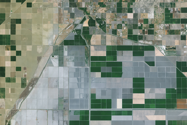 HarvestProgram's tweet card. Researchers found a relationship between idle farmland and dust storms in one of the nation’s largest breadbaskets.