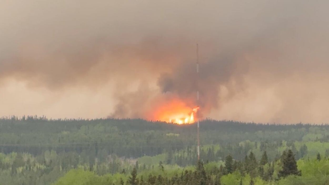 RadioCanadaInfo's tweet card. Les chercheurs avertissent que la fumée des feux de forêt au Manitoba pourrait être encore plus toxique que d'habitude, mais plus de recherche est requise.