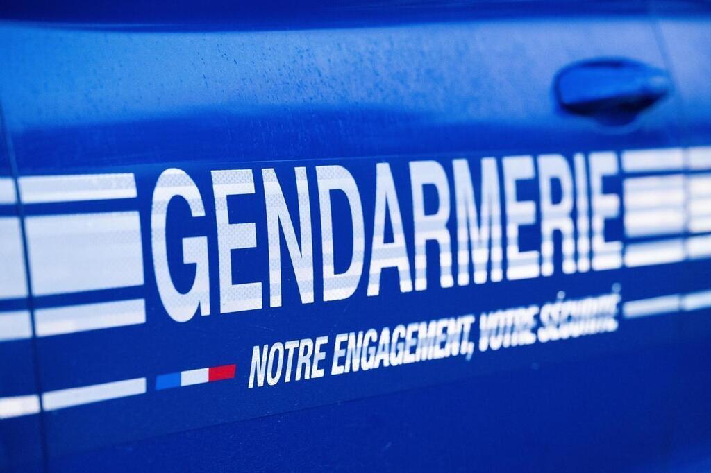 SartheInfos's tweet card. Info Le Mans Un père de famille armé est interpellé par les gendarmes dans ce petit village de... Le Mans