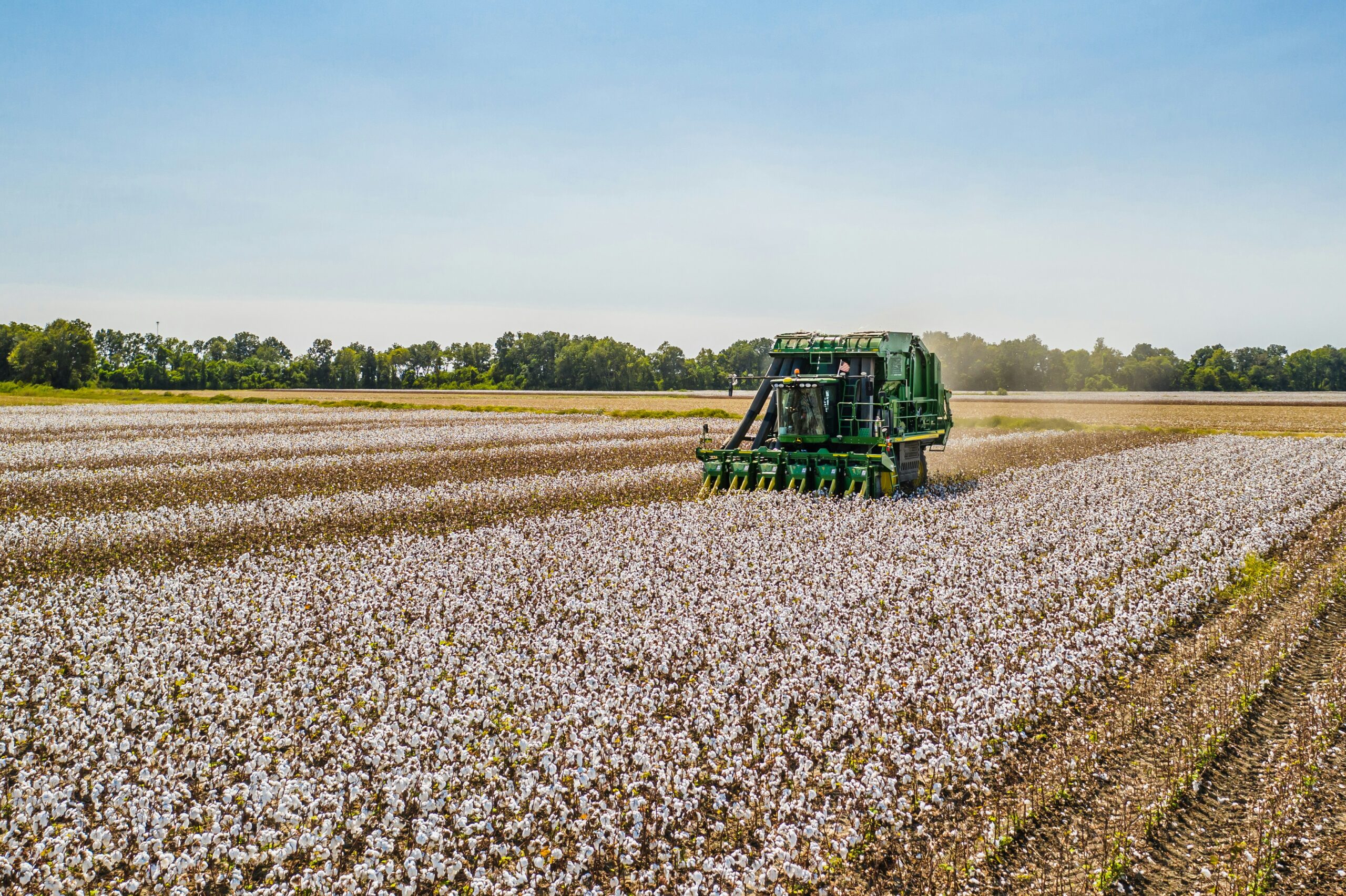thenewledenews's tweet card. By Carey Gillam In the latest reversal of American environmental protections, US regulators said this week that they plan to approve a trio of new herbicide products made with dicamba, a controvers...
