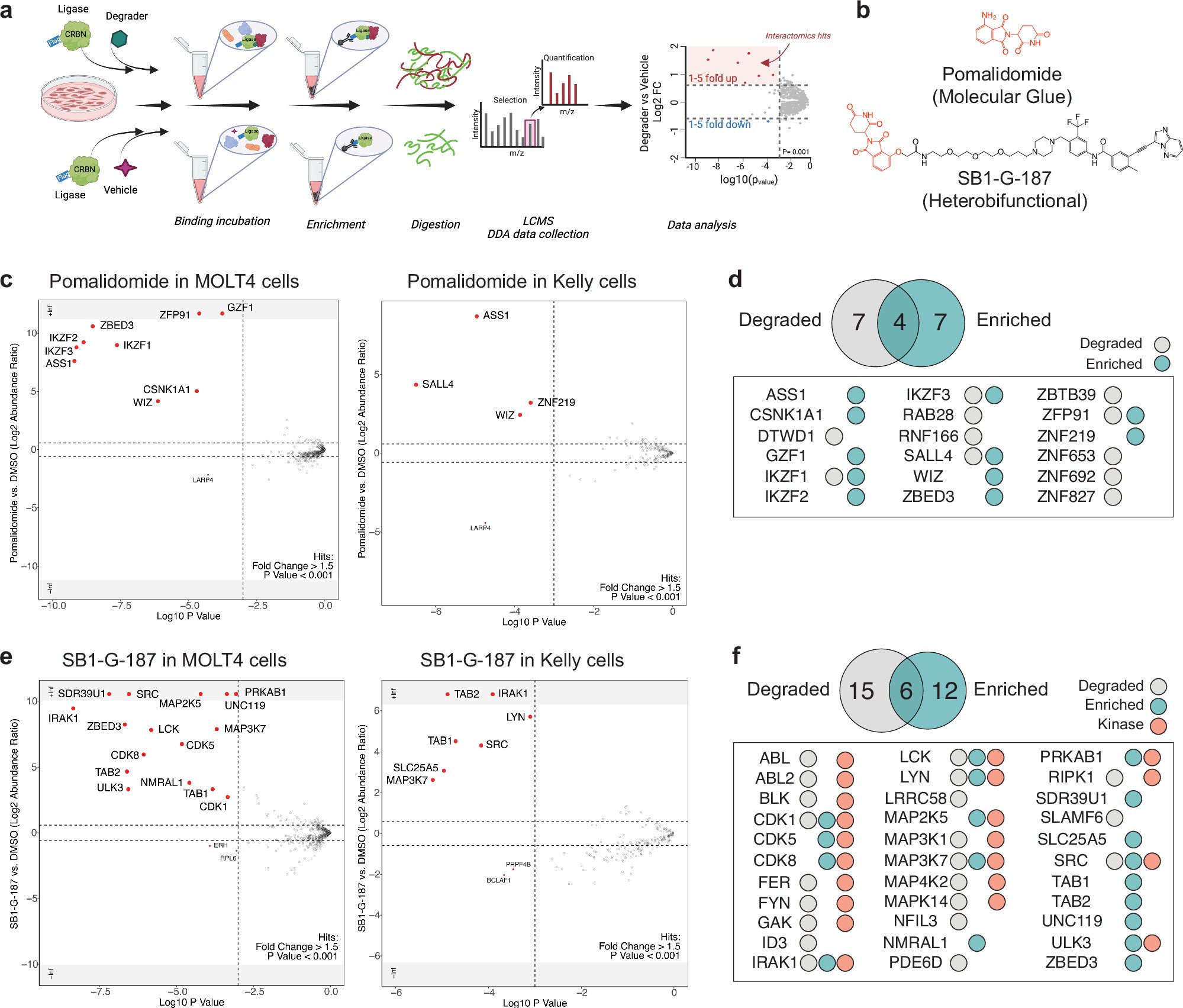 DanNomura's tweet card. Nature Communications - Induced proximity by molecular glues is a strategy that leverages the recruitment of proteins to facilitate their modification or degradation. Here the authors present...