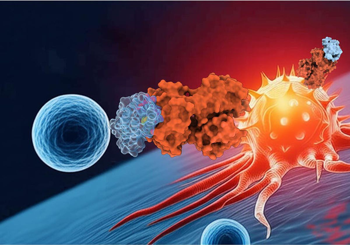 theomitsa's tweet card. A machine learning platform cut down discovery time of a T cell-based immunotherapeutic agent from years to weeks.