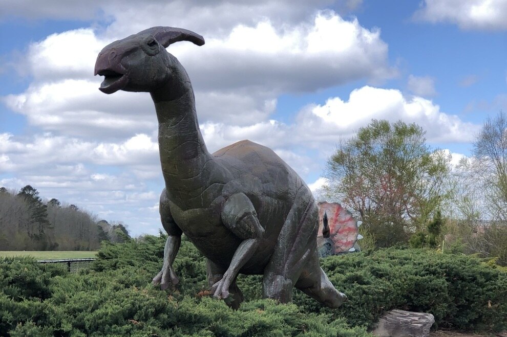 ScienceMusofVA's tweet card. Check out where to see dinosaur related exhibits around Virginia.
