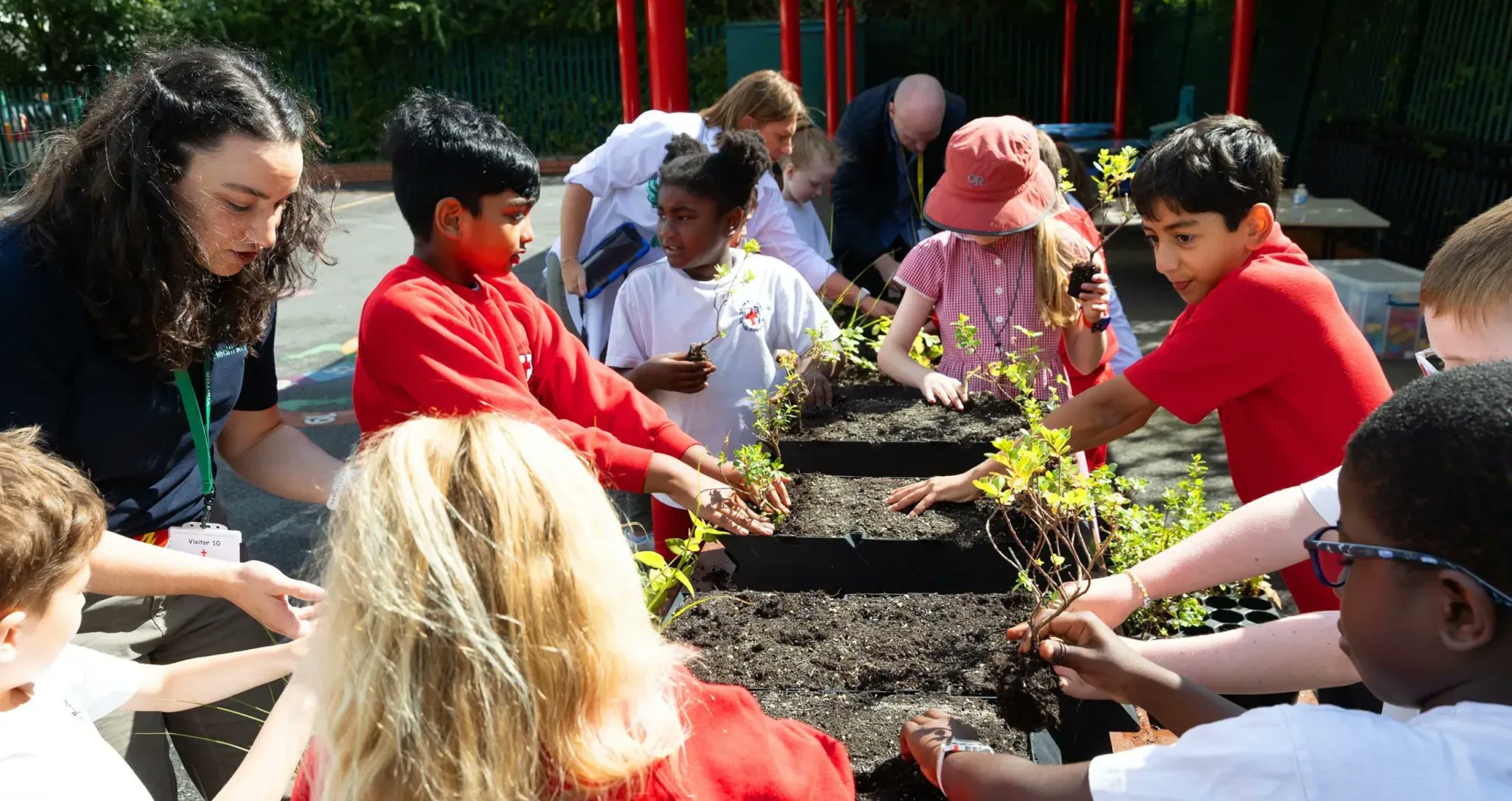 StRobSouth's tweet card. The new vertical garden at St Robert Southwell RC Primary School will absorb air pollution, improve biodiversity, and encourage learning about nature and climate action. Today, A Healthier Earth, the...
