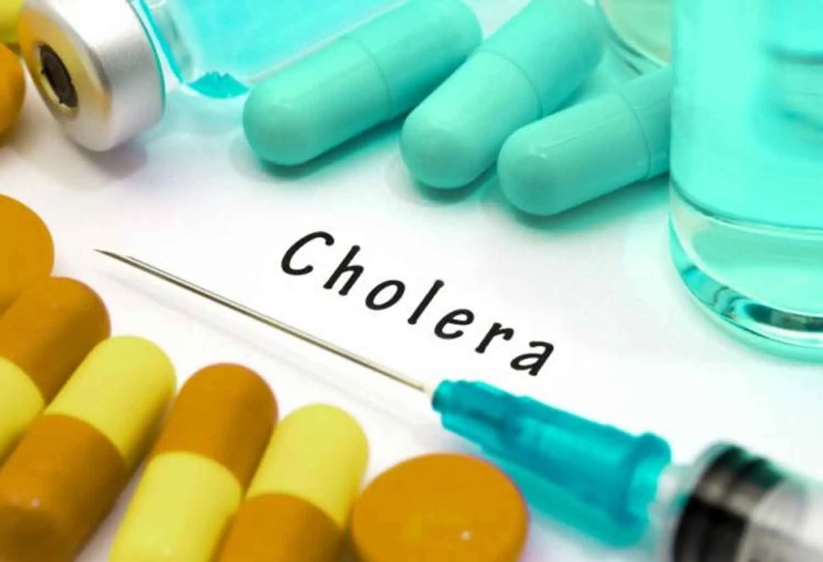 NewsCentralTV's tweet card. A cholera outbreak has killed at least 12 people and left over 230 others hospitalised across multiple Local Government Areas (LGAs) in Niger State.