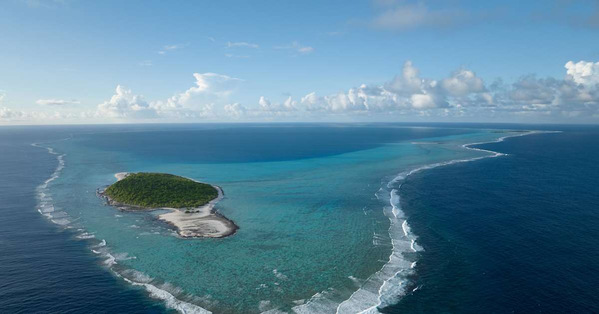 GlobalFishWatch's tweet card. The first-of-its-kind study reveals that the world’s most strongly protected marine reserves successfully curb industrial fishing activity, offering a new way to assess fishing compliance and bridge...