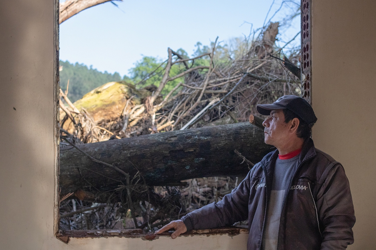 DialogueEarth_'s tweet card. In Rio Grande do Sul, as a wave of solidarity recedes, farmers face up to financial obligations, trauma, and preparing for the next extreme weather event