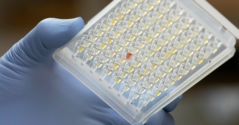 MicrobesInfo's tweet card. OHSU research in nonhuman primates finds long-term effects in both lean and obese animals.