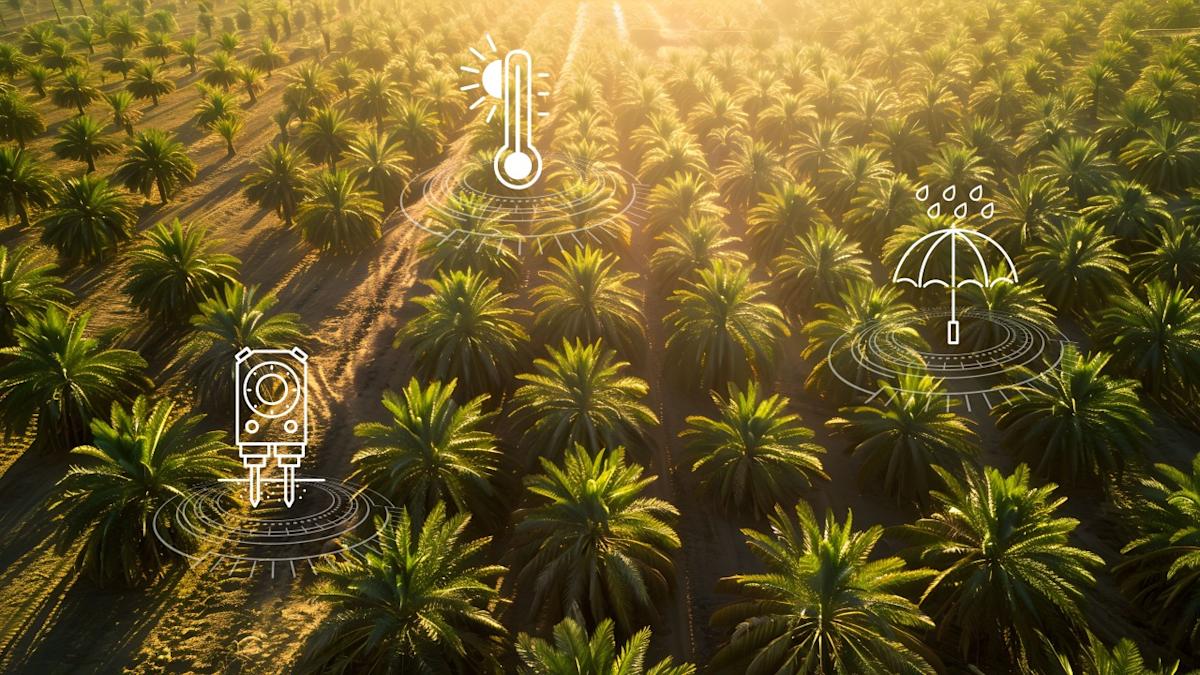 drone_dash's tweet card. KUALA LUMPUR, MY / ACCESS Newswire / June 18, 2025 / A significant leap forward in agricultural technology is underway asFarmsent ,DroneDash , andSkyXjoin forces to implement a state-of-the-art smart...